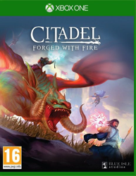 Citadel: Forged With Fire precio
