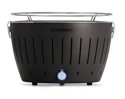 LotusGrill G-OR-34P Barbacoa con baterías y cable de alimentación USB, 35 x 23,4 cm, Gris precio