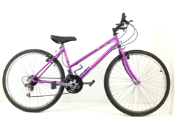 BICICLETA MONTAÑA ORBEA INICIATE características