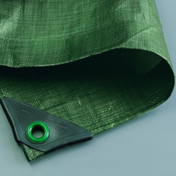 Noor características