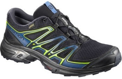 Salomon Wings Flyte 2 GTX night sky/snorkel blue/graphite en oferta