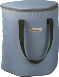 Campingaz Basic Cooler 15L precio