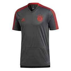adidas FC Bayern - Camiseta de Entrenamiento Hombre, Hombre, Color Utility Ivy, Red, tamaño FR : M (Taille Fabricant : M) en oferta