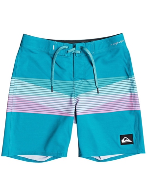 Quiksilver Highline Seasons 16 Boardshorts azul