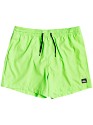 Quiksilver Everyday Volley 15" Boardshorts verde en oferta