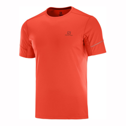 Salomon - Camiseta De Hombre Agile características