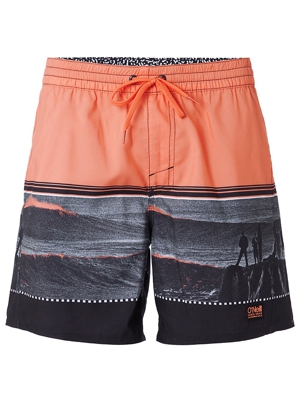 O'Neill The Point Boardshorts negro