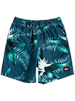 Quiksilver Poolsider Volley 15 Boardshorts azul