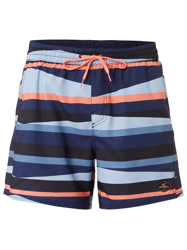 O'Neill Horizon Boardshorts azul características