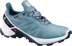 Salomon Supercross GTX Women bluestone/white/india ink características