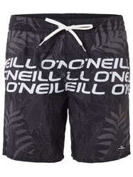 O'Neill Stacked Boardshorts negro características