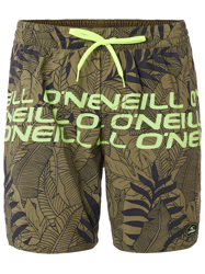 O'Neill Stacked Boardshorts verde precio