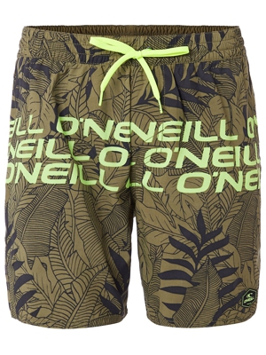 O'Neill Stacked Boardshorts verde