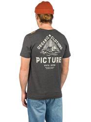 Picture Carson T-Shirt gris características