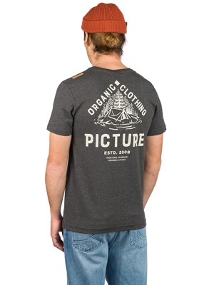 Picture Carson T-Shirt gris