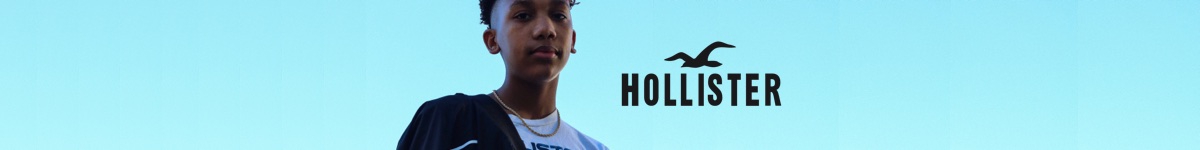 Banner de Hollister