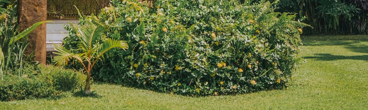 ¿Cómo instalar una mosquitera para una ventana corredera?