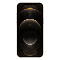 Apple iPhone 12 Pro Max 128Go or - comme neuf características