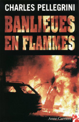 Banlieues en flammes en oferta