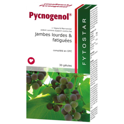 Fytostar Pycnogenol® precio