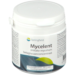 Springfield Mycelent concentré de bêta-glucane de mycélium shiitake características