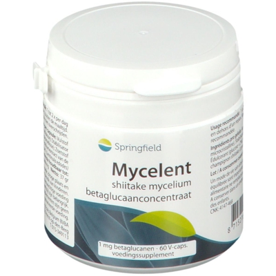 Springfield Mycelent concentré de bêta-glucane de mycélium shiitake