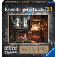 19954, Puzzle