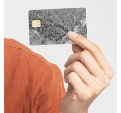 Sticker carte de crédit forêt en oferta