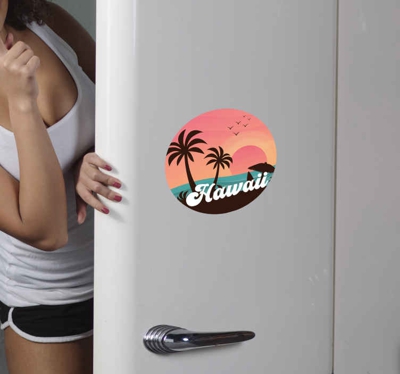 Sticker pour Frigo Hawaii vintage