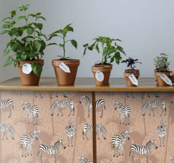 Sticker Deco Meuble Zèbre et paumes marron en oferta