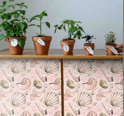 Sticker Deco Meubles de coquillages en oferta