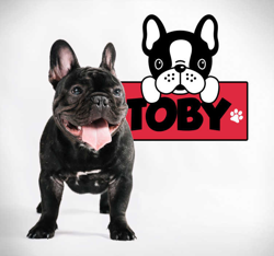 Sticker Mural bouledogue avec nom precio