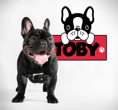 Sticker Mural bouledogue avec nom