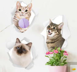 Sticker Maison Chats 3D en oferta