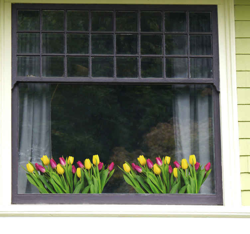 Vitrophanie vitre Bouquet de tulipes en oferta
