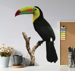 Autocollant oiseau dessin toucan características