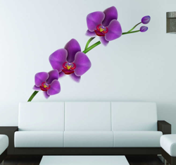 Sticker fleur orchidée características