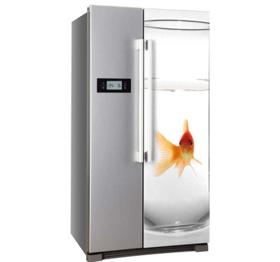 Sticker frigo poisson rouge