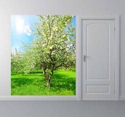 Photo murale pommes vertes precio