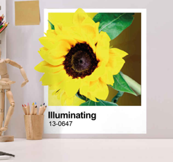 Sticker Mural Fleur Pantone éclairant en oferta