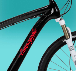 Sticker vélo logo Campagnolo en oferta