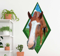 Sticker Maison Tête de Cheval Décorative características