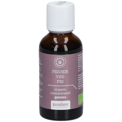 purasana Puragem Figue características