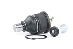 RIDEX Rotule De Suspension 2462S0026 Rotule Inferieur,Rotule De Triangle KIA,MAZDA,FORD,CLARUS (K9A),CLARUS Kombi (GC),PREMACY (CP) características