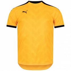 PUMA ftblNXT Graphic Haut Hommes Maillot 657007-04 características