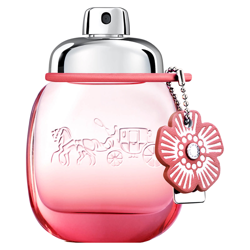 Coach Women's Floral Blush Eau de Parfum 30ml características