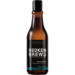 Shampooing pour Homme Redken Brews 300 ml precio