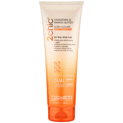 Giovanni GNV 2chic U-Volume Conditioner 250ml características