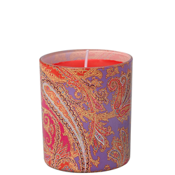 Etro Rajasthan Candle Without Cap 160g características