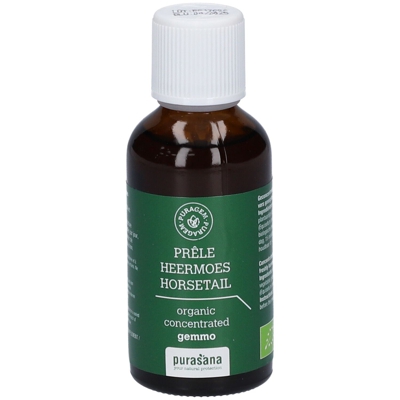 Purasana Puragem Prêle des champs